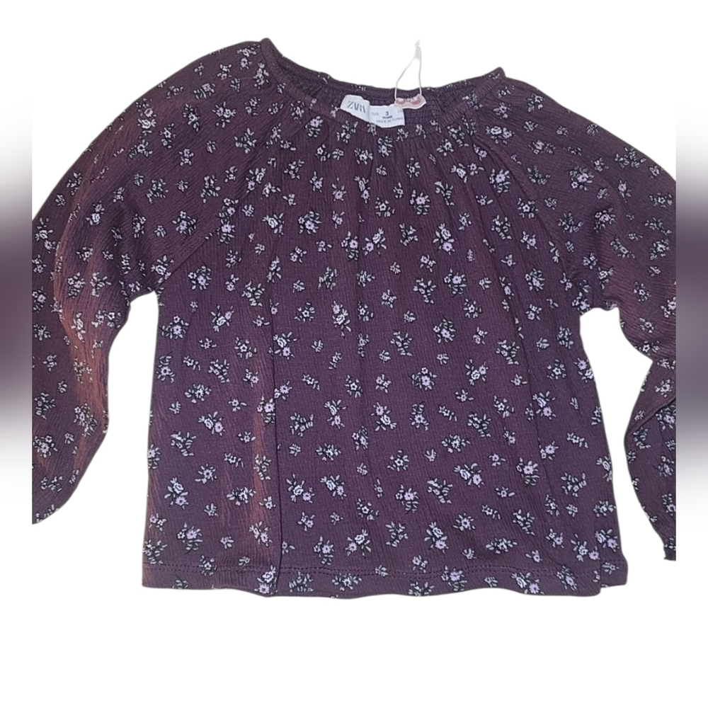 Zara Plum 3T Floral Top NWT